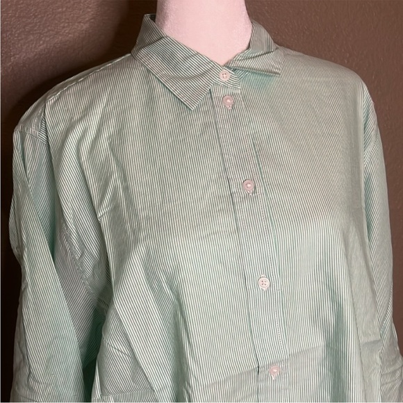 Everlane The Relaxed Oxford Shirt Mint Stripe Size 12 - NWT - Picture 3 of 7
